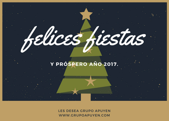 Felices fiestas Grupo Apuyen 2016-17
